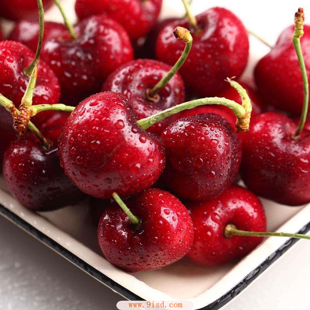 礼品公司如何购物