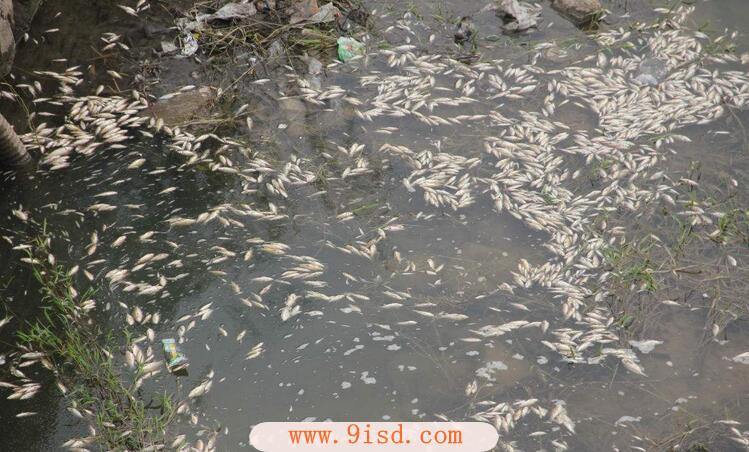 黄龙玉手链价格趋势介绍